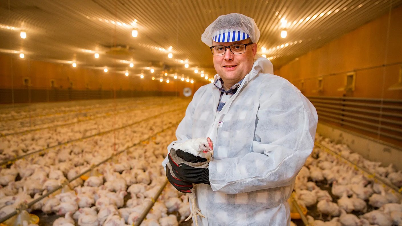 Siipikarjatilallinen kanalassa kananpoika sylissään.