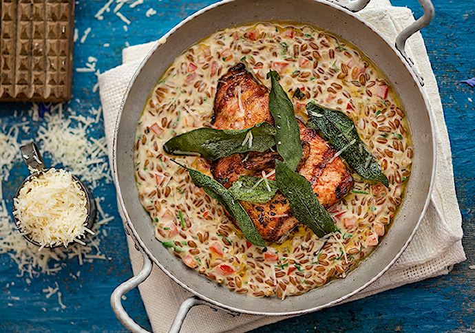 Porsaan Pluma ja spelttirisotto